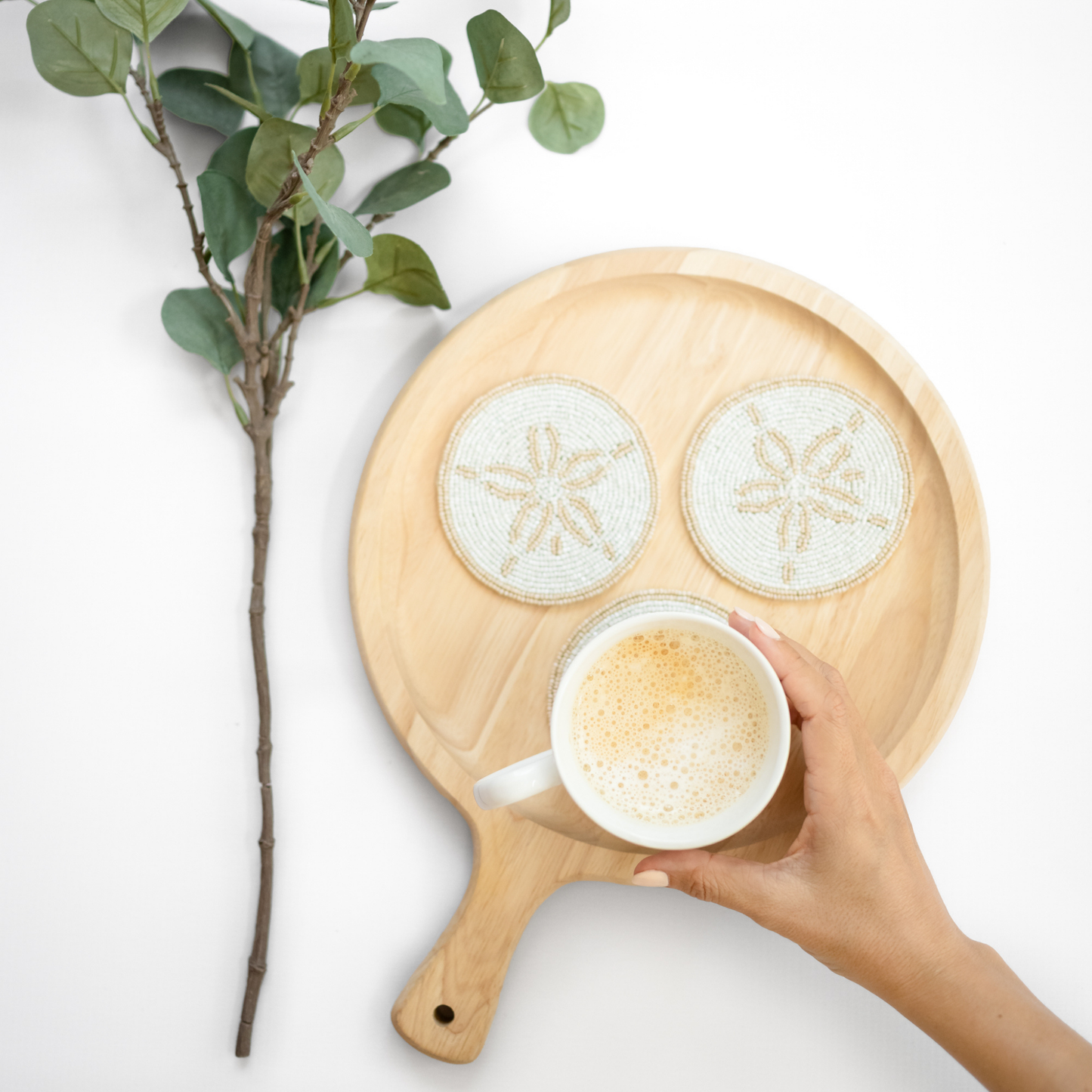 Sand Dollar Coasters