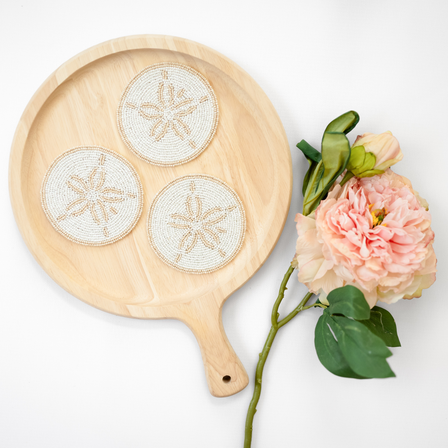 Sand Dollar Coasters